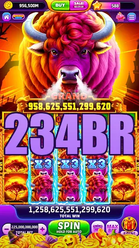 234BR Login